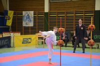 Landesmeisterschaft 2026